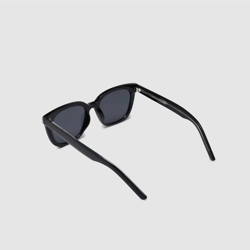 Kính BLUE ELEPHANT PANA black